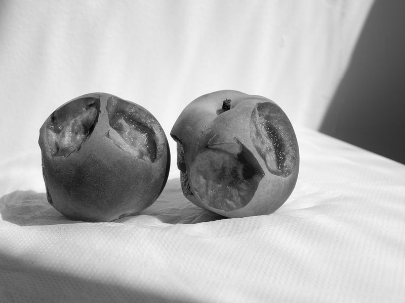 © Eva Vei - Image from the Touch the floor and lick your finger photography project