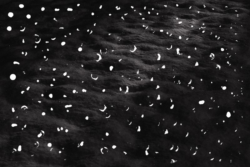 © Blaž Gutman - Janez's intervention on my photograph. Attempt at drawing of the first snow of the season.