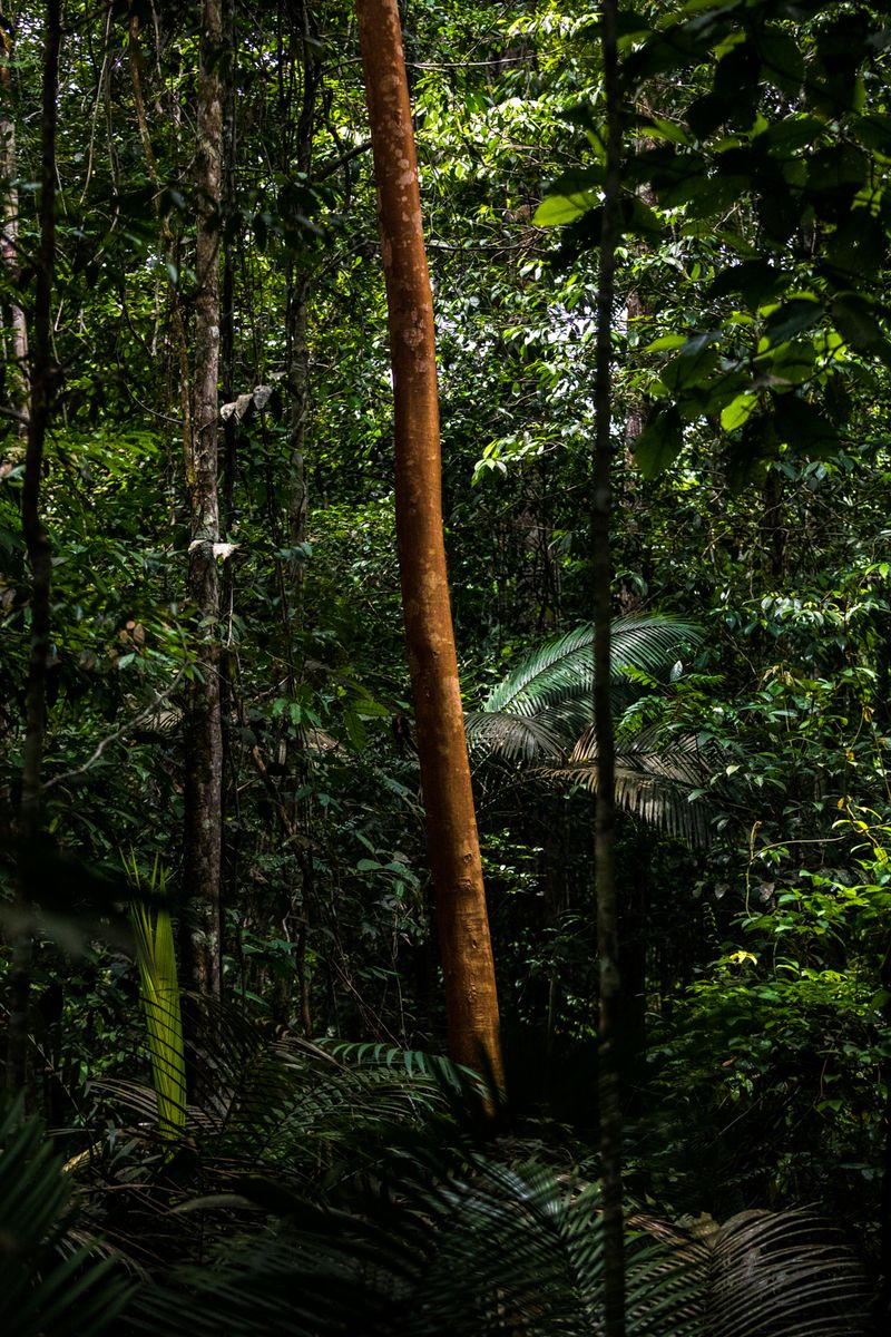 © Emeric Fohlen - Image from the Ribeirinhos photography project