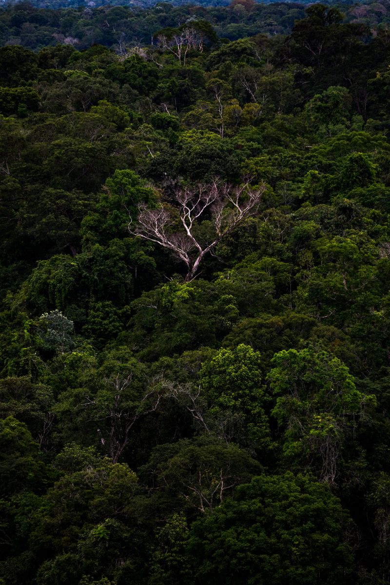 © Emeric Fohlen - Image from the Ribeirinhos photography project