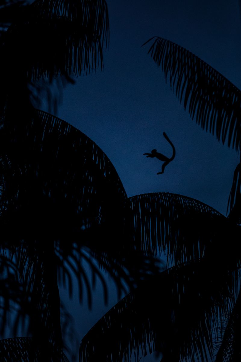 © Emeric Fohlen - Image from the Ribeirinhos photography project