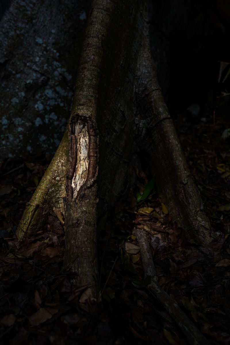 © Emeric Fohlen - Image from the Ribeirinhos photography project