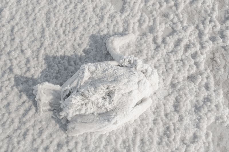 © Ekaterina Balaban - Image from the The sea is rough photography project