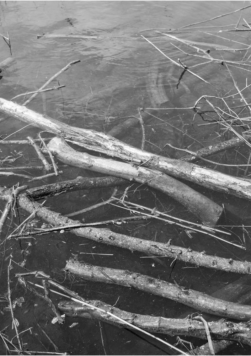 © Livvy Eden - Image from the Mondays Swim photography project