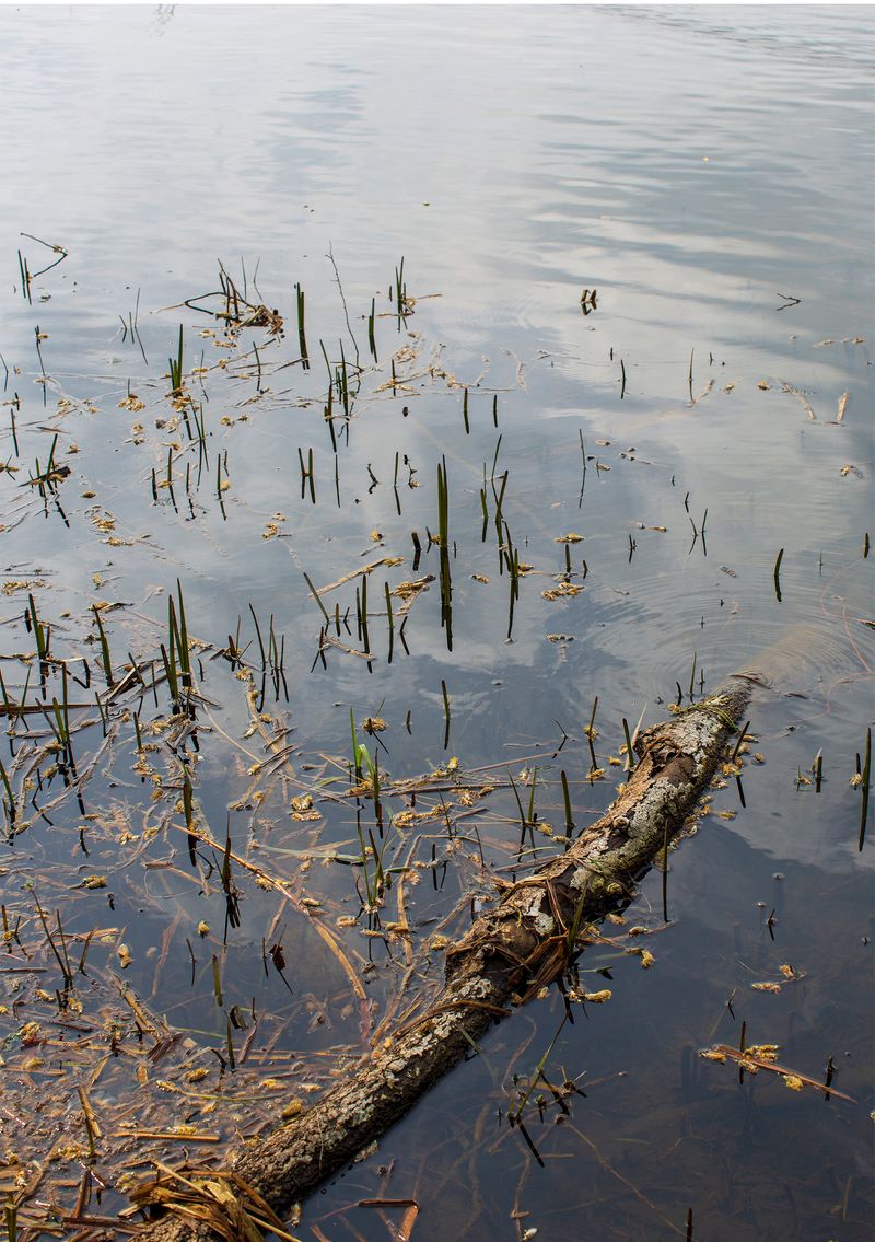 © Livvy Eden - Image from the Mondays Swim photography project