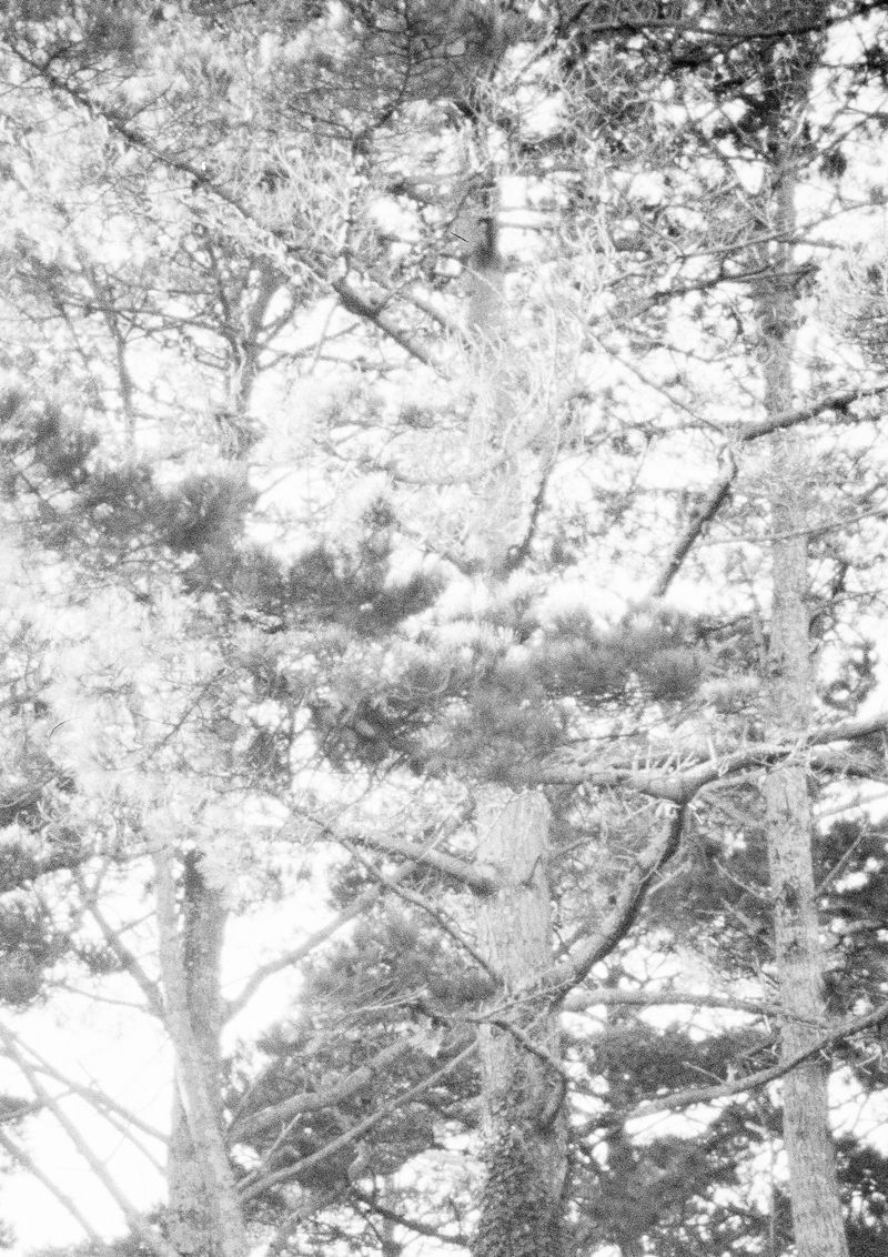 © Livvy Eden - Image from the Mondays Swim photography project