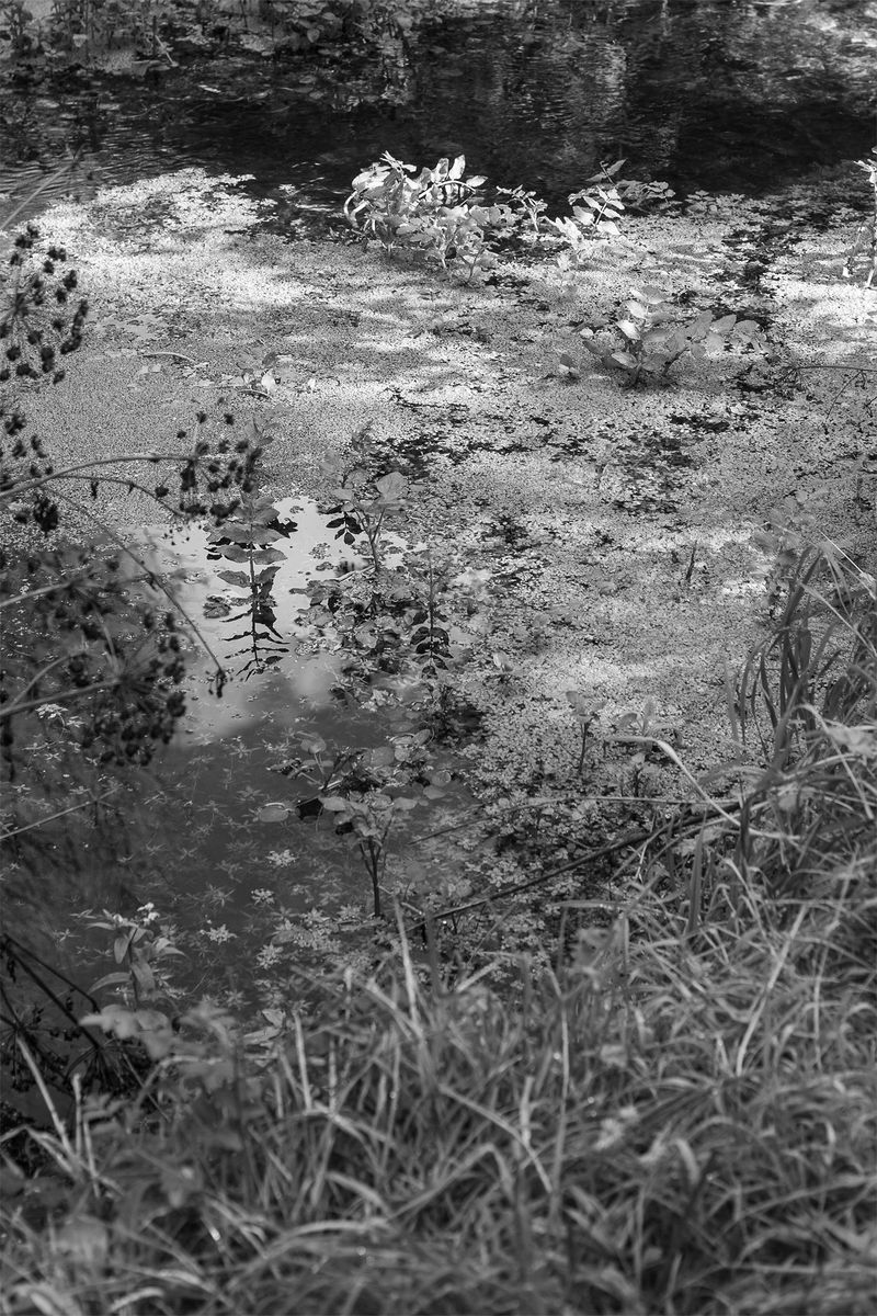 © Livvy Eden - Image from the Mondays Swim photography project