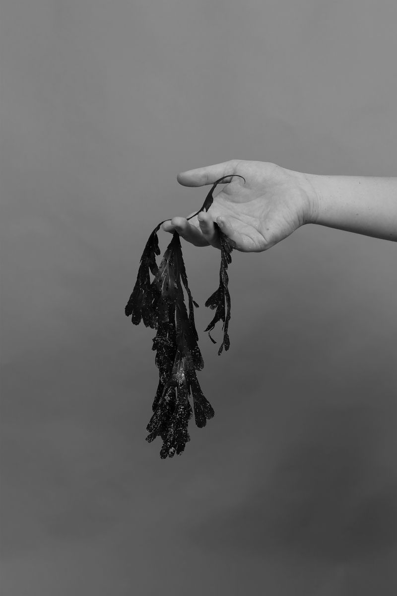 © Livvy Eden - Image from the Mondays Swim photography project