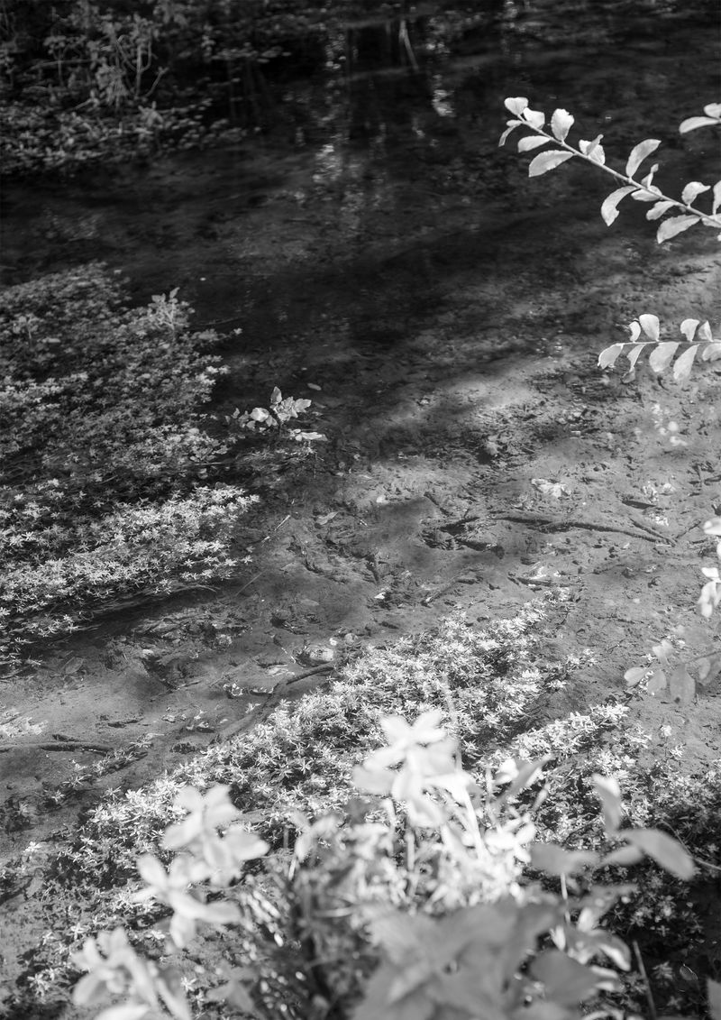 © Livvy Eden - Image from the Mondays Swim photography project