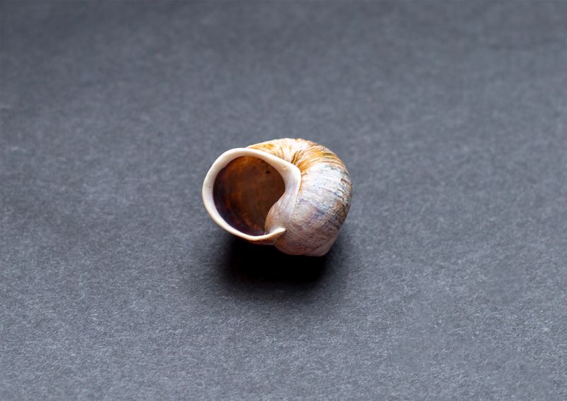 © Livvy Eden - Image from the Child of the River photography project