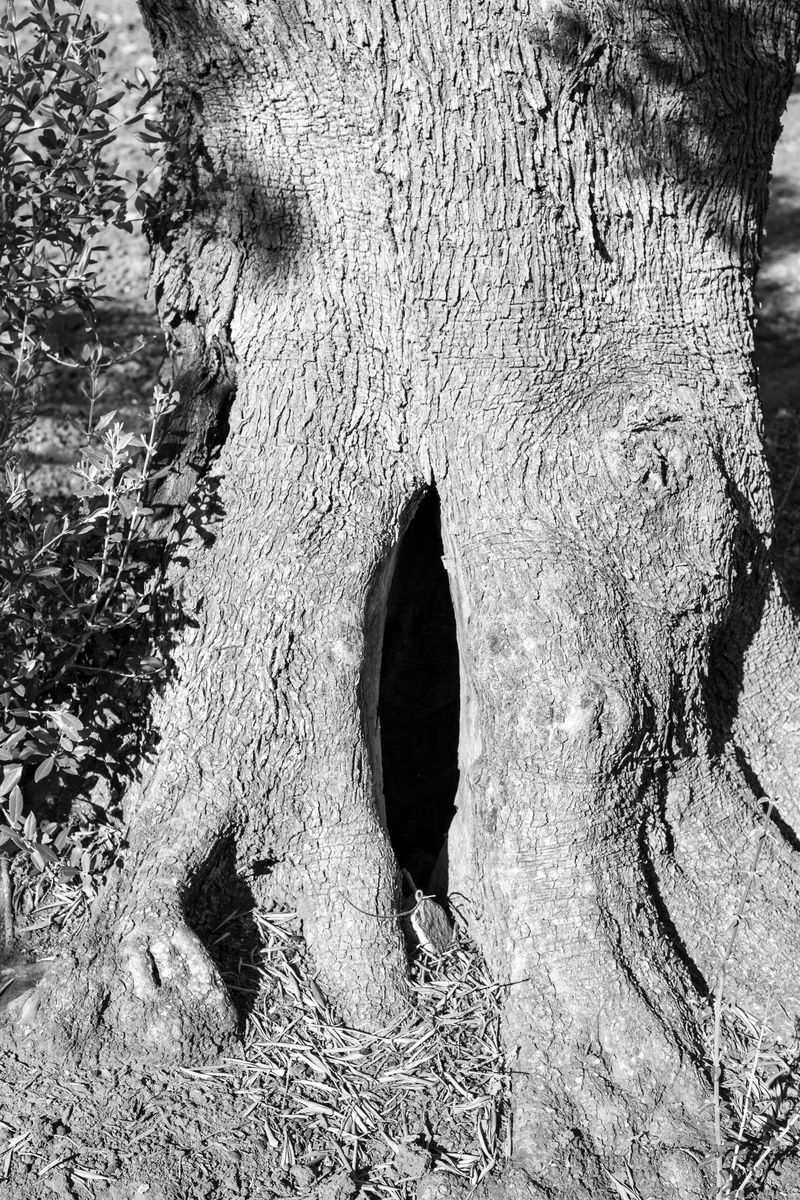 © Livvy Eden - Image from the Child of the River photography project