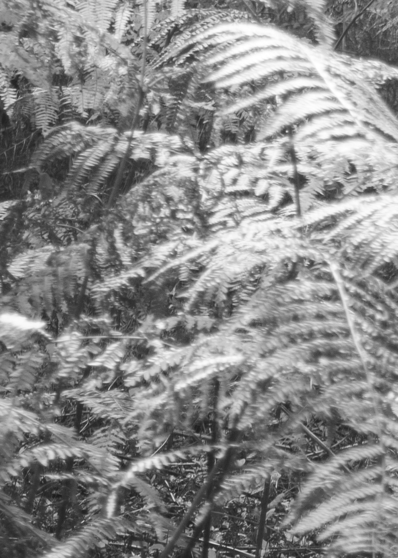 © Livvy Eden - Image from the Child of the River photography project