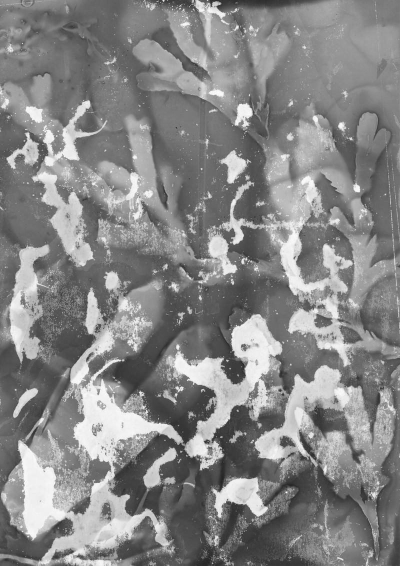 © Livvy Eden - Image from the Child of the River photography project