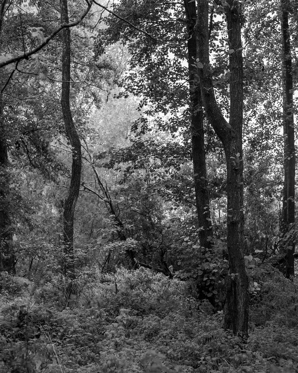 © Livvy Eden - Image from the Child of the River photography project