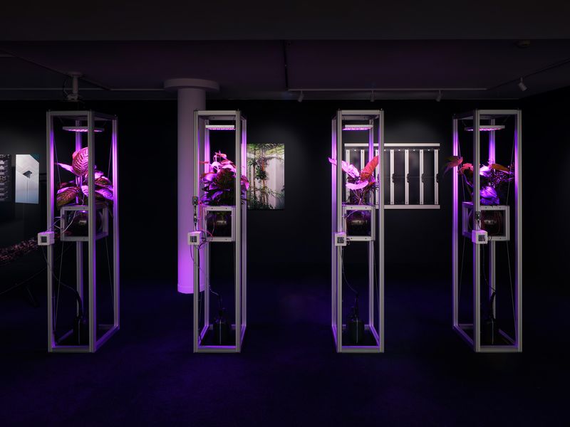 © Emidio Battipaglia - Image from the Synaptic Dialogues photography project