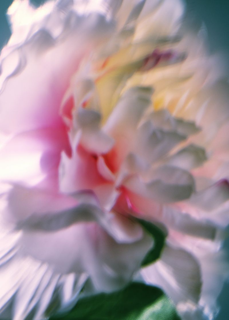 © Erli Grünzweil - Image from the Where Deer Fly and Stones Cry photography project