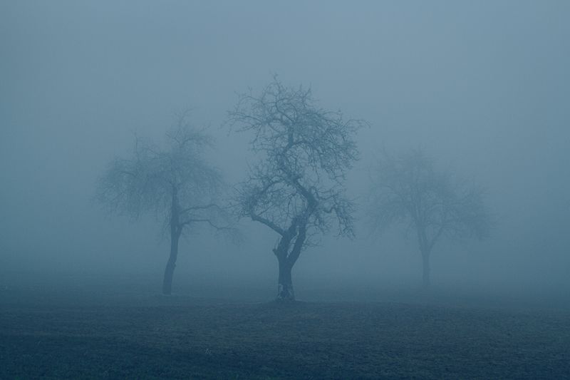 © Erli Grünzweil - Image from the Where Deer Fly and Stones Cry photography project