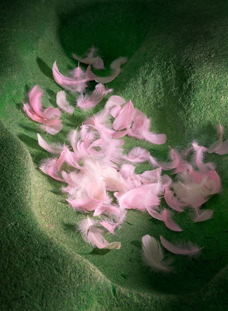 © Erli Grünzweil - Image from the Where Deer Fly and Stones Cry photography project