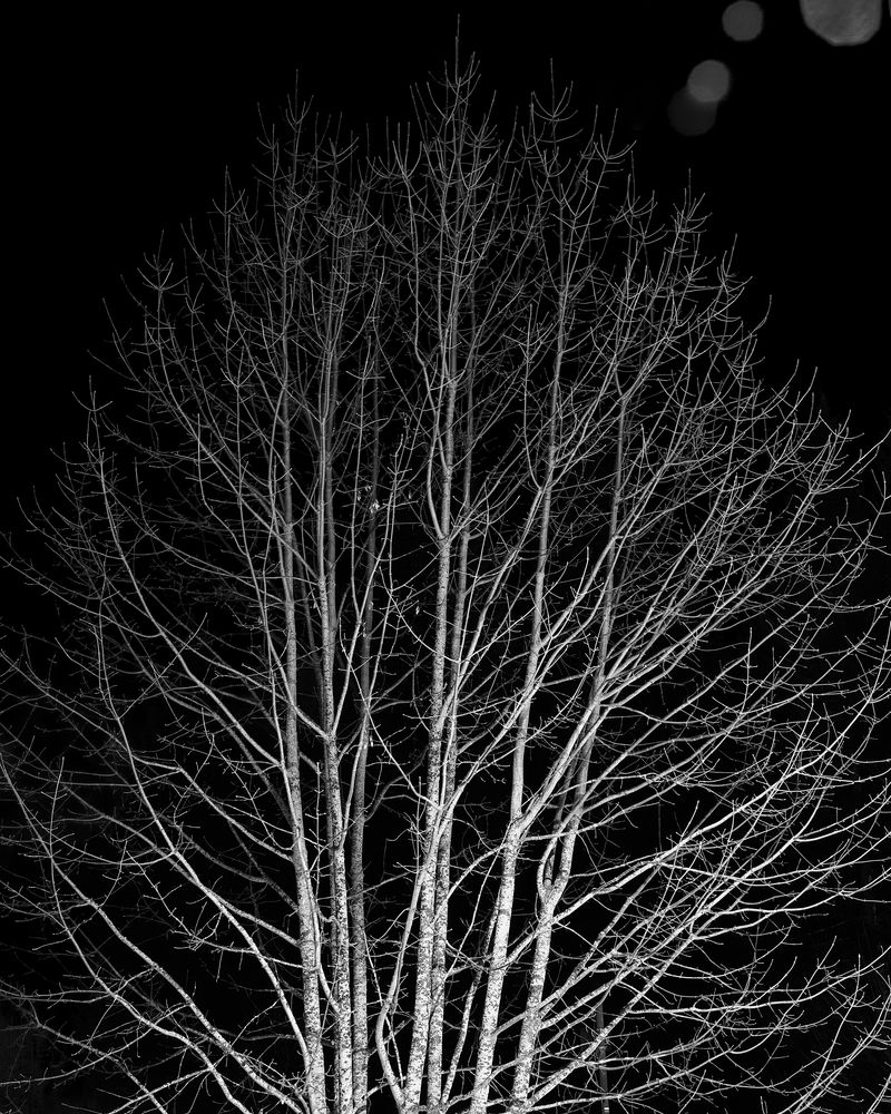 © Florian Luthi - Image from the Meteor Ghosts photography project