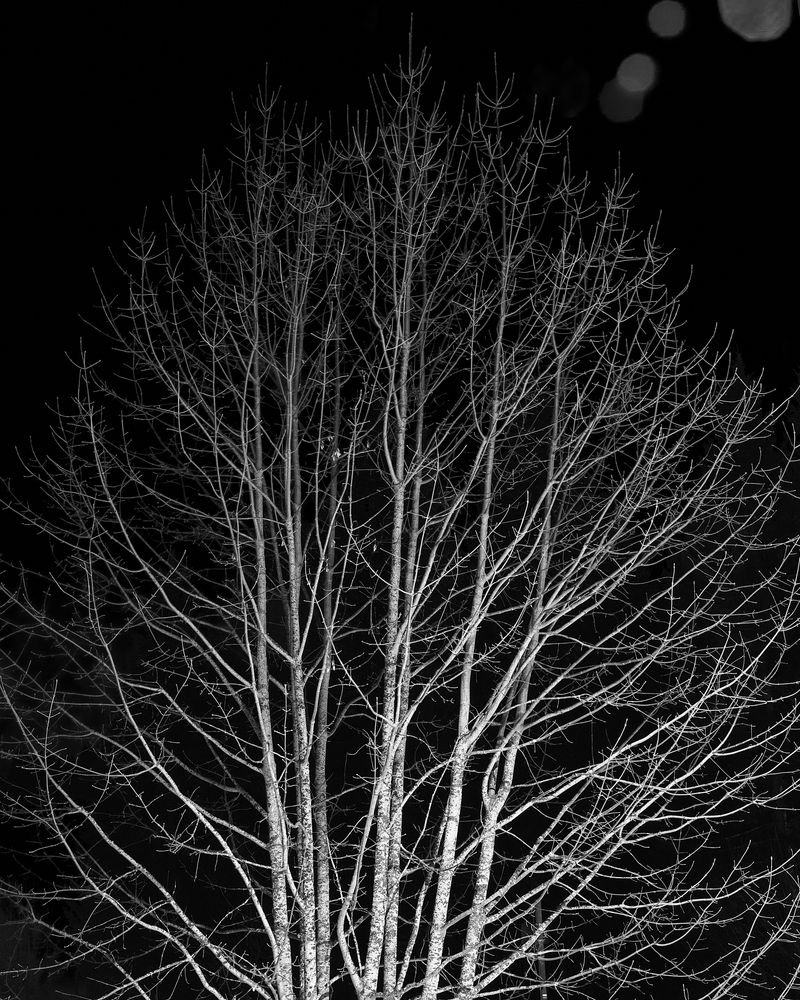 © Florian Luthi - Image from the Meteor Ghosts photography project