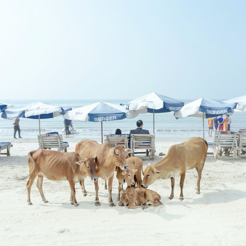 © Ismail Ferdous - Image from the Sea Beach photography project