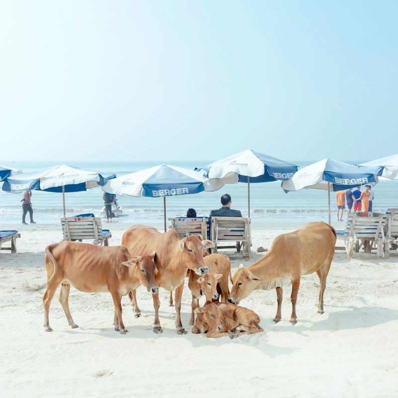 © Ismail Ferdous - Image from the Sea Beach photography project