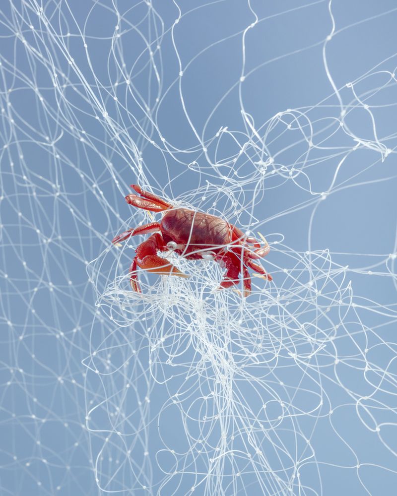 © Ismail Ferdous - Image from the Sea Beach photography project