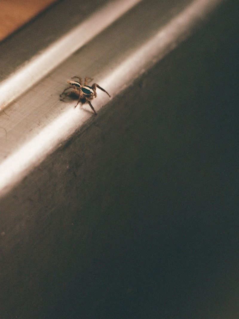 © Lidewij Mulder - Freefall, 2024