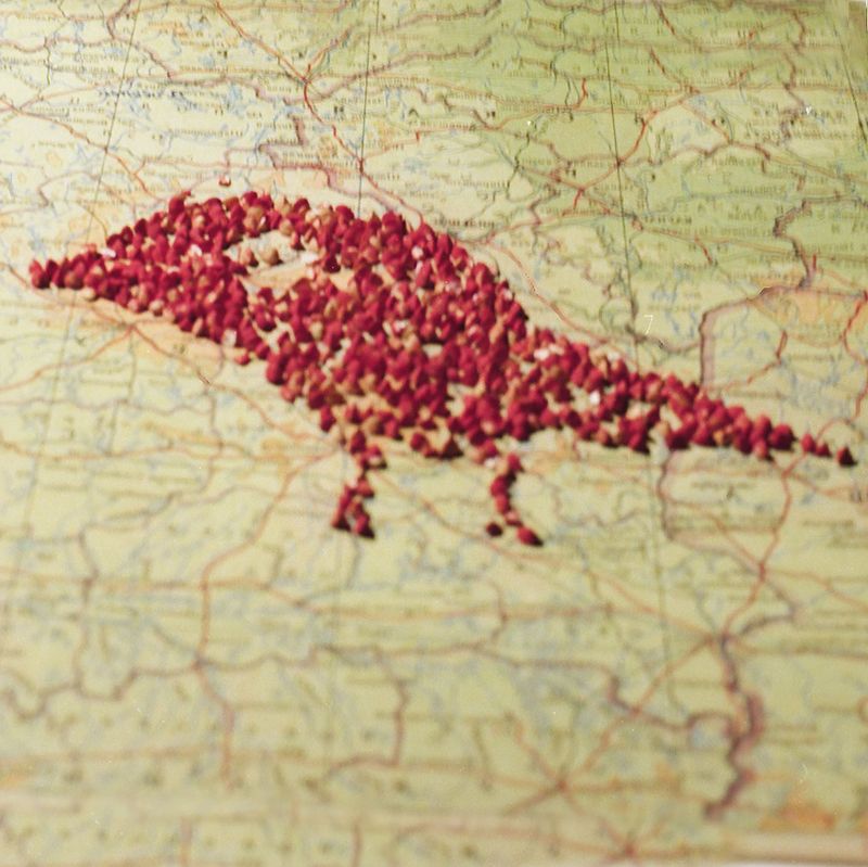 © Asya Zhetvina - The secret map of the pigeon mission