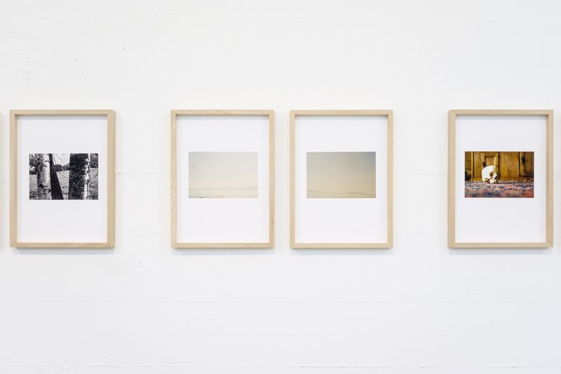 Image from a project on PhMuseum