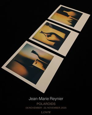 Jean-Marie Reynier: POLAROIDS