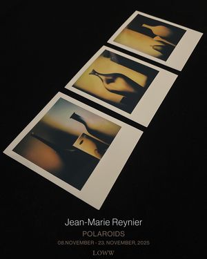 Jean-Marie Reynier: POLAROIDS
