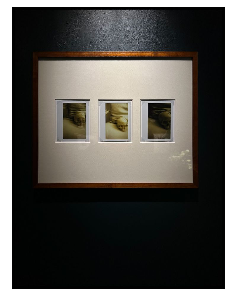 Image from a project on PhMuseum