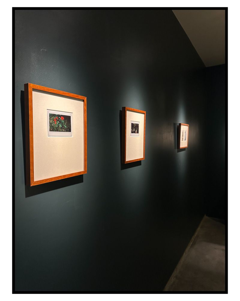 Image from a project on PhMuseum