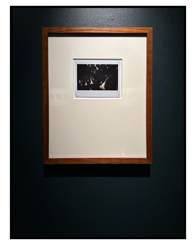 Image from a project on PhMuseum