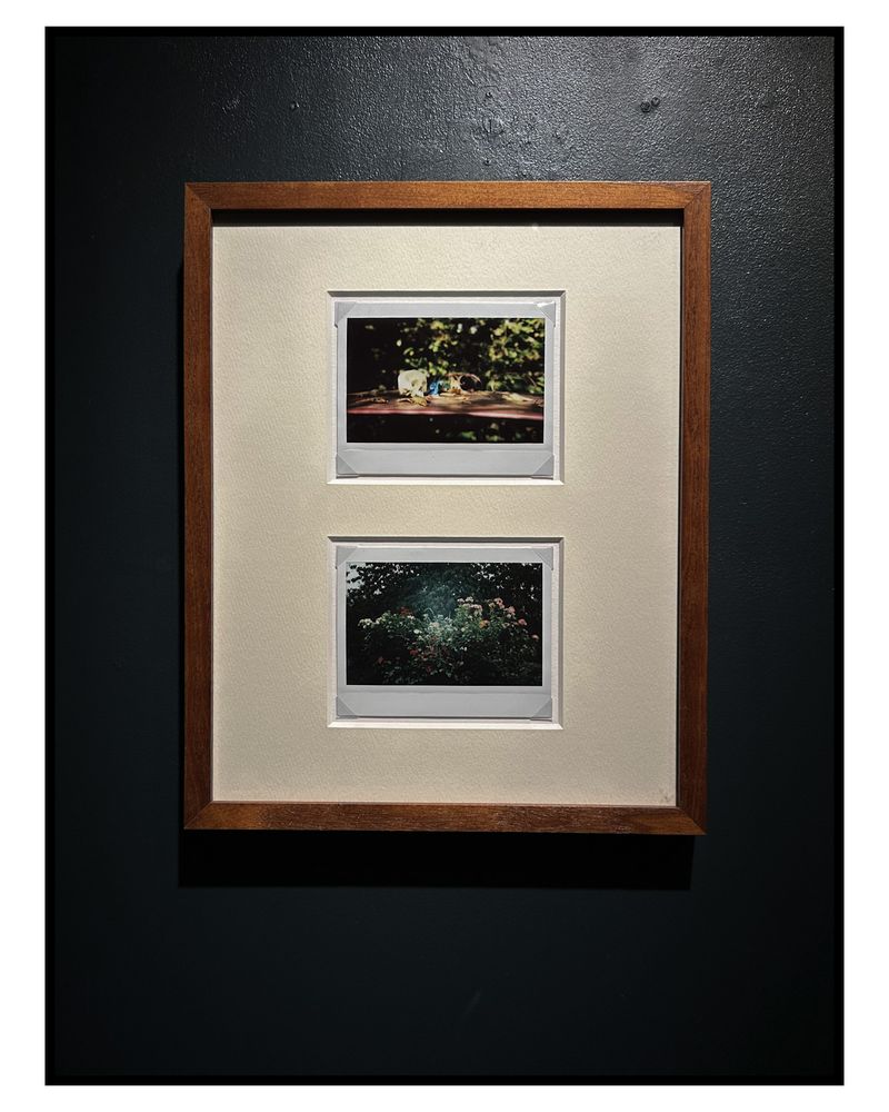 Image from a project on PhMuseum