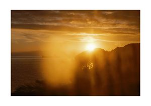 Santa Margherita, 2025