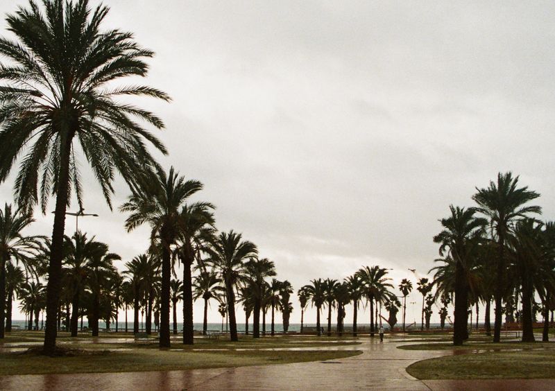 © Jean-Marie Reynier - "Barcelona, 2026" Jean-Marie Reynier