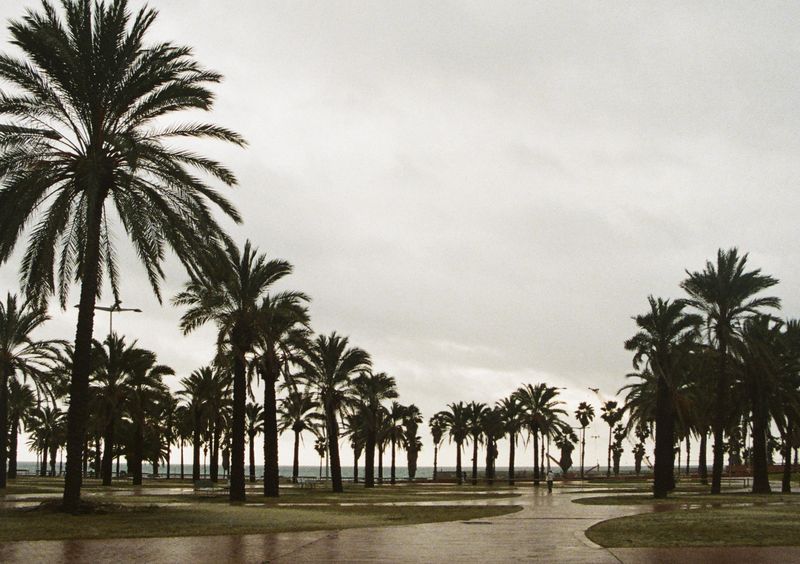 © Jean-Marie Reynier - "Barcelona, 2026" Jean-Marie Reynier