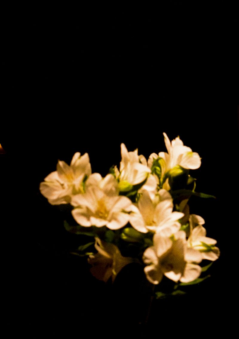 © Jean-Marie Reynier - "Tokyo, 2025" Jean-Marie Reynier