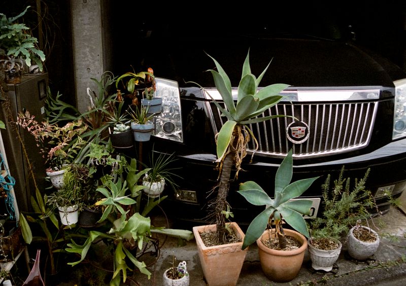 © Jean-Marie Reynier - "Tokyo, 2025" Jean-Marie Reynier