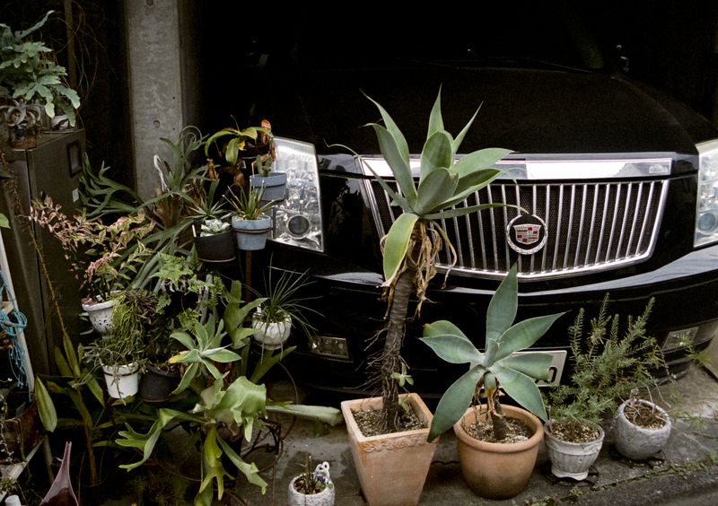 © Jean-Marie Reynier - "Tokyo, 2025" Jean-Marie Reynier