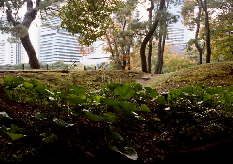 © Jean-Marie Reynier - "Tokyo, 2025" Jean-Marie Reynier