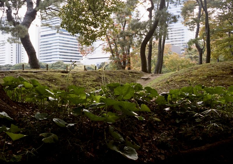 © Jean-Marie Reynier - "Tokyo, 2025" Jean-Marie Reynier