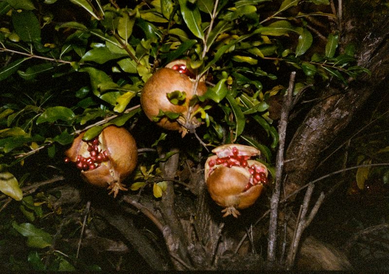 © Jean-Marie Reynier - "Tokyo, 2025" Jean-Marie Reynier