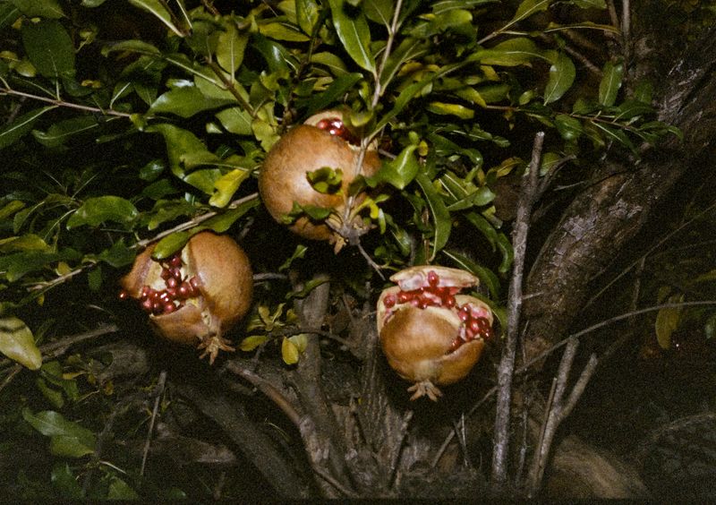 © Jean-Marie Reynier - "Tokyo, 2025" Jean-Marie Reynier