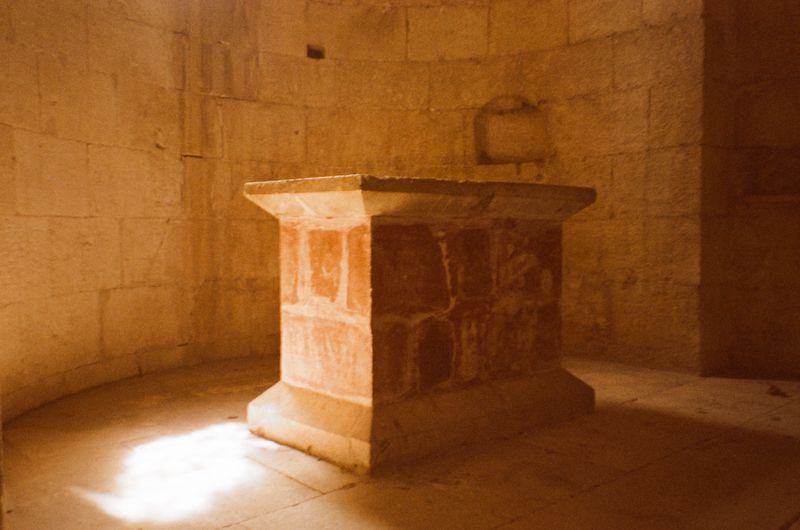 © Jean-Marie Reynier - "Camargue, 2025" Jean-Marie Reynier