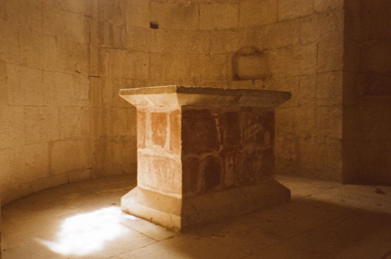 © Jean-Marie Reynier - "Camargue, 2025" Jean-Marie Reynier