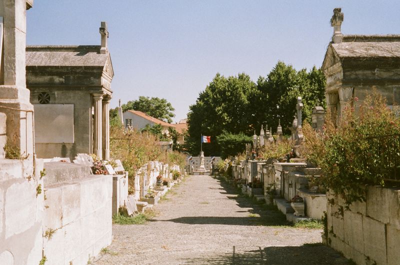 © Jean-Marie Reynier - "Camargue, 2025" Jean-Marie Reynier