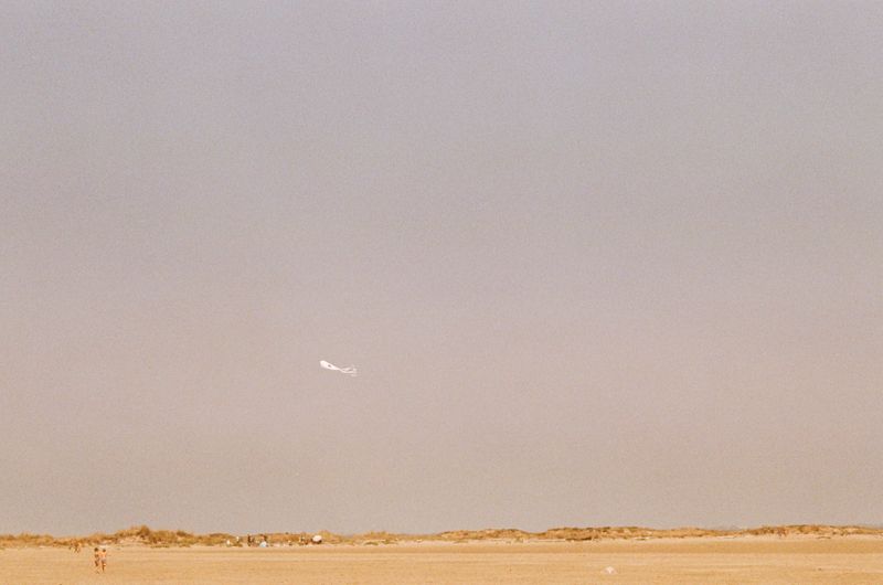 © Jean-Marie Reynier - "Camargue, 2025" Jean-Marie Reynier